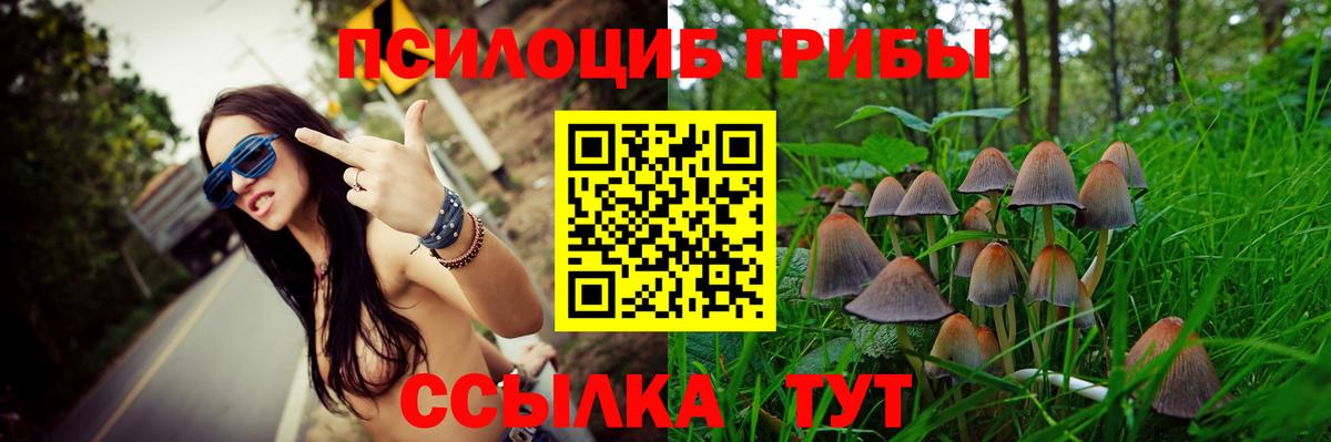 Отрадное  Галлюциногенные грибы MAGIC MUSHROOMS  Вход с VPN  Псилоцибиновые грибы Cubensis 